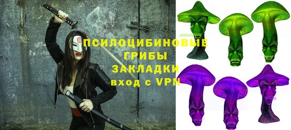 тгк Арсеньев