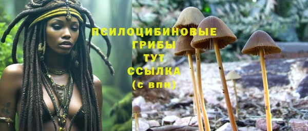 тгк Арсеньев